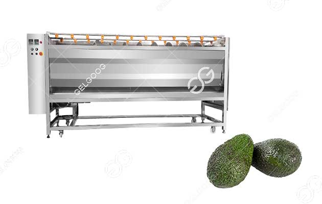 industrial avocado brush cleaning machine hot sale