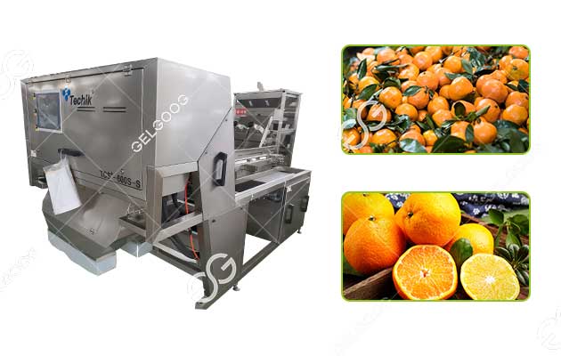 automatic citrus orange sorting grading machine on sale
