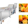 industrial citrus washing machine on sale for orange lemon