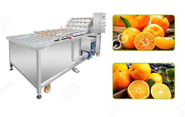 industrial citrus washing machine on sale for orange lemon