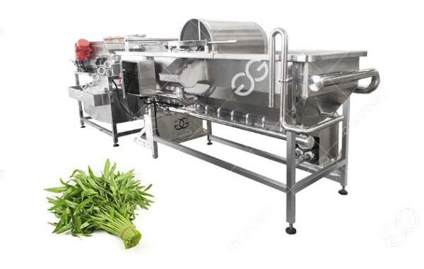 vegetable washing machine
