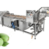 mango washing equipment