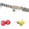 industrial apple pear peach washing machine for sale