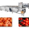 tomato washing machine