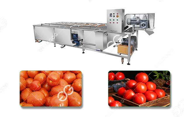 commercial factory price cherry tomato washing machine for sale