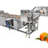 industrial citrus washing machine on sale for orange lemon