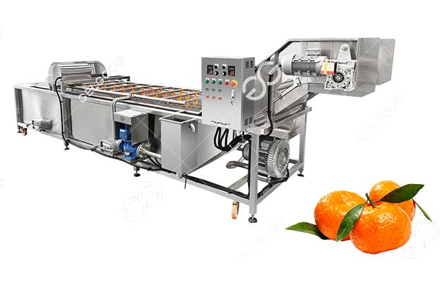 industrial citrus washing machine on sale for orange lemon