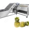 commercial pineapple washing cleaning machine