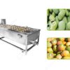 automatic mango fruit washing cleaning machine hot sale