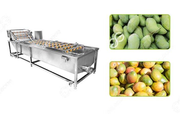 automatic mango fruit washing cleaning machine hot sale