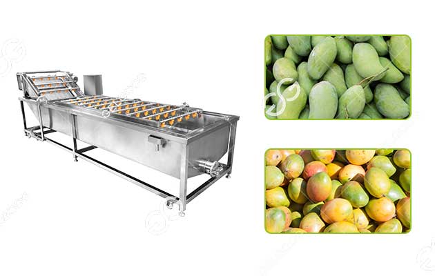 automatic mango fruit washing cleaning machine hot sale