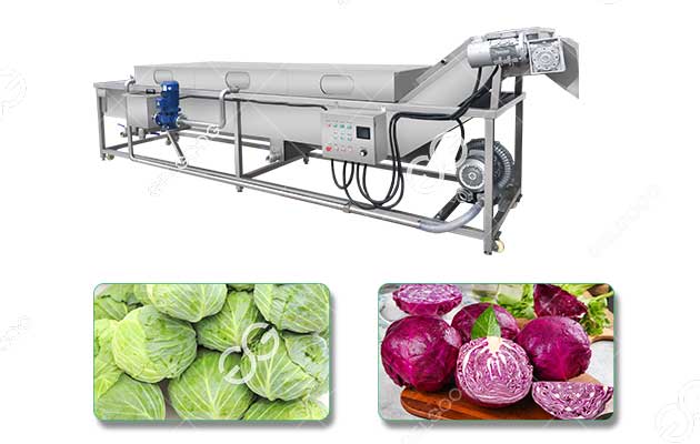industrial cabbage washing machine for brussels sprouts palm core