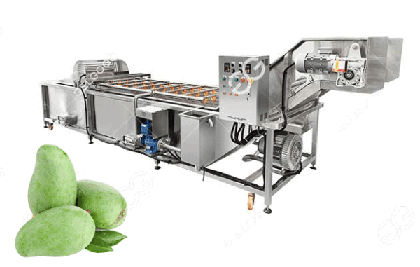 mango washing equipment
