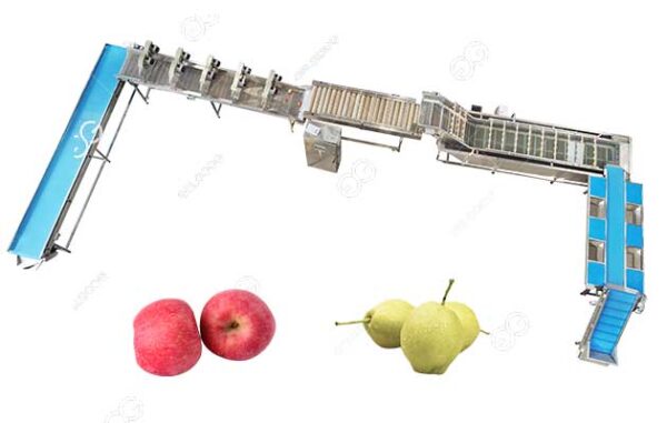 industrial apple pear peach washing machine for sale