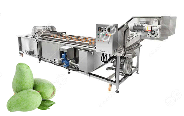 automatic mango fruit washing cleaning machine hot sale