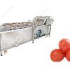 commercial factory price cherry tomato washing machine for sale