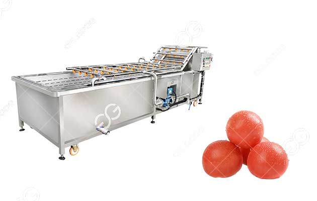 commercial factory price cherry tomato washing machine for sale