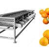 automatic citrus orange sorting grading machine on sale