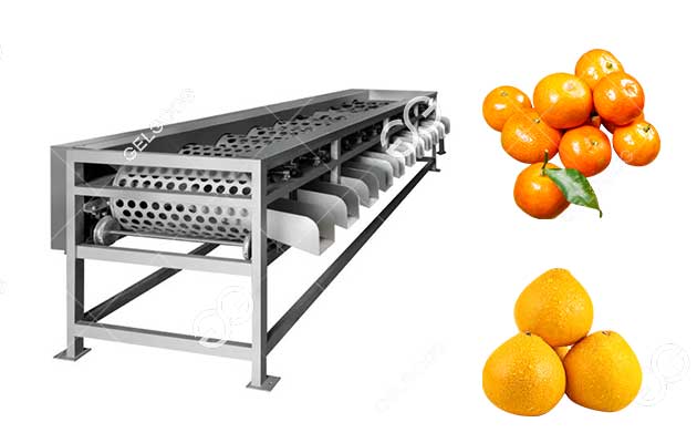 automatic citrus orange sorting grading machine on sale