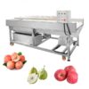 industrial apple pear peach washing machine for sale