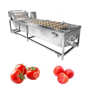 commercial factory price cherry tomato washing machine for sale
