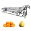industrial citrus washing machine on sale for orange lemon