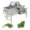 leafy vegetable washing machine