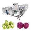 industrial cabbage washing machine for brussels sprouts palm core