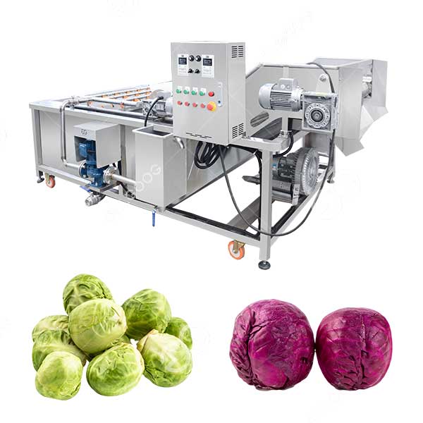 industrial cabbage washing machine for brussels sprouts palm core