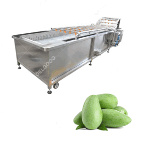 automatic mango fruit washing cleaning machine hot sale
