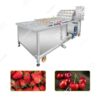 palm date washing cleaning machine for date processing