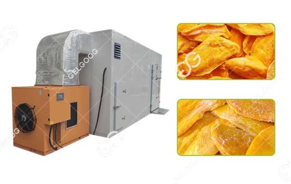 mango dehydration machine