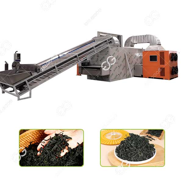commercial large kelp drying processing machine supplier