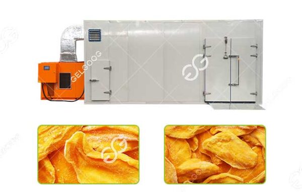 mango drying machine