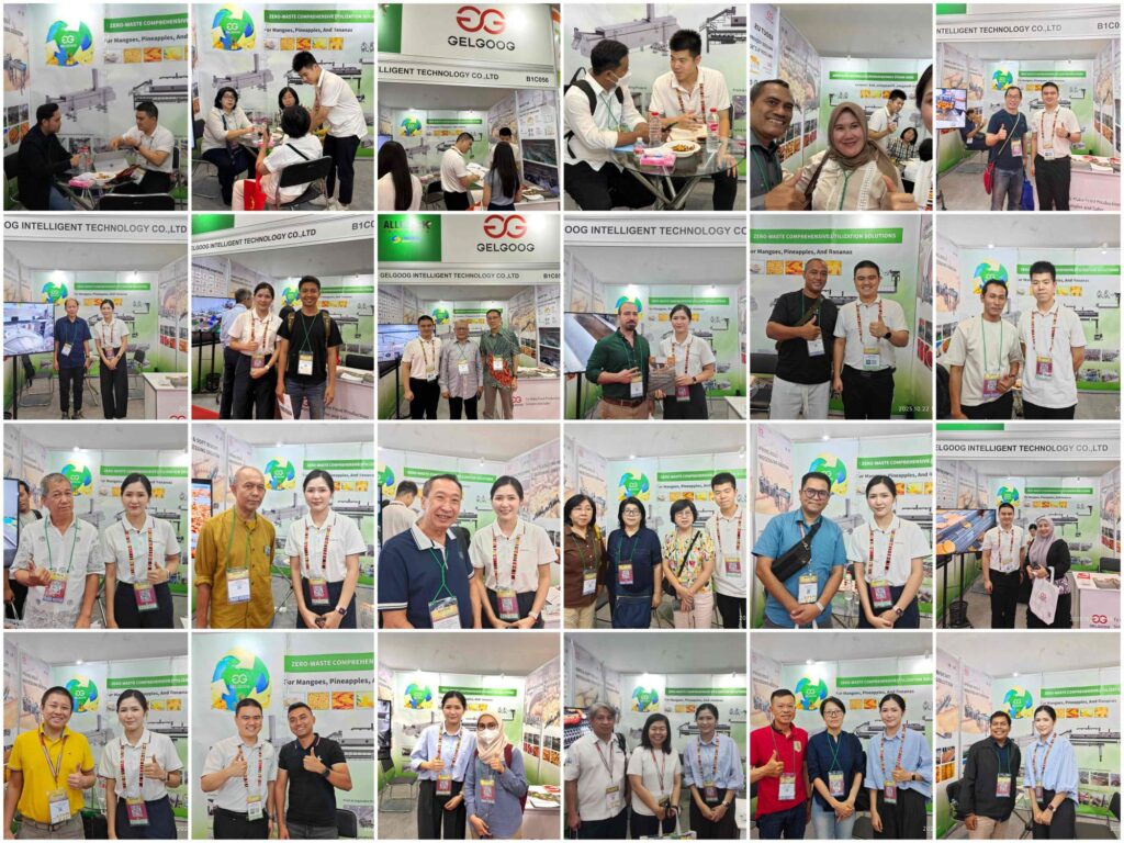 29971761202151279(1)