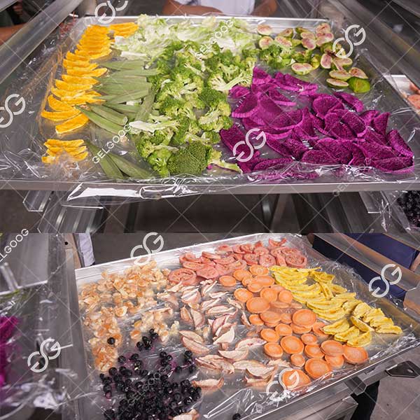 commercial freeze drying machine for fruit manufacture