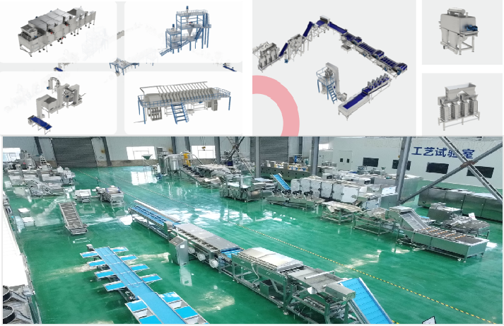 fruit processing machine