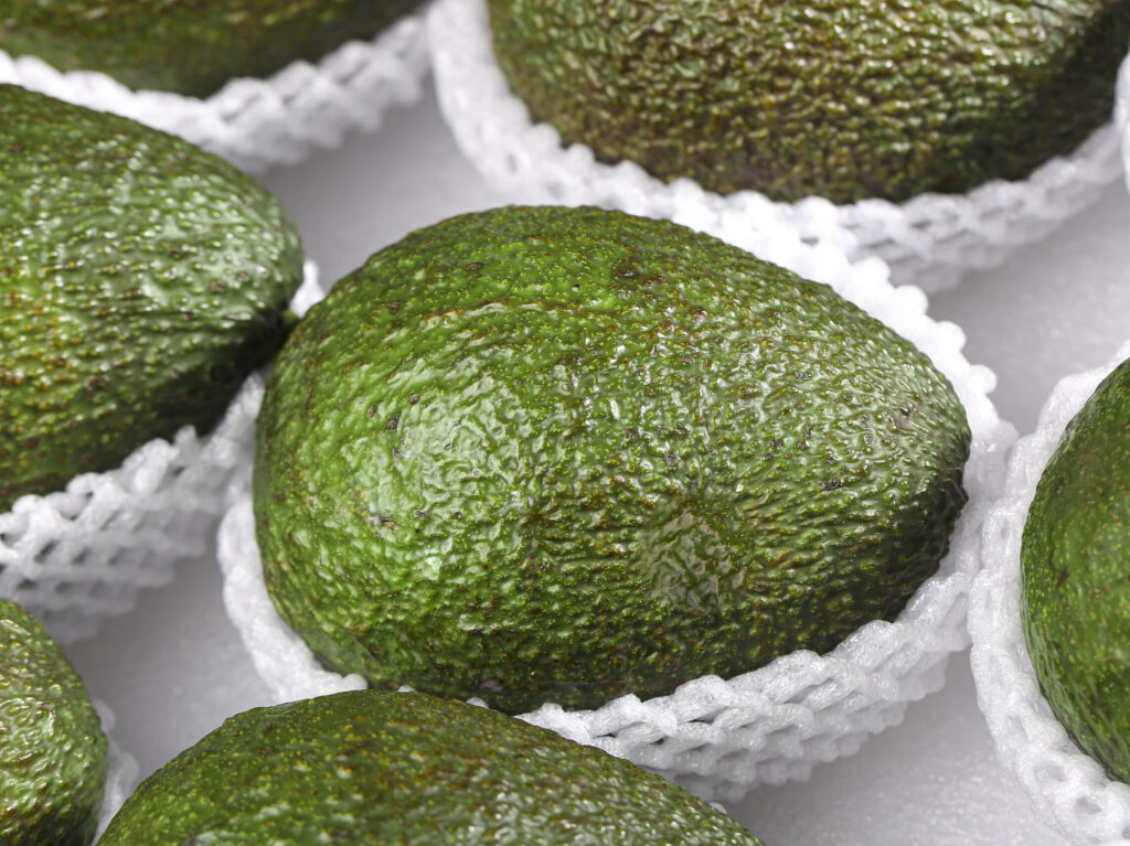 avocado sorting machine