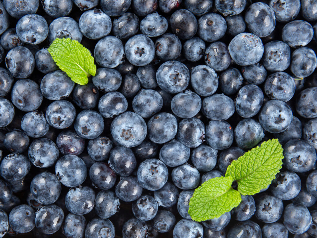 摄图网 501602754 平铺新鲜野生蓝莓拍摄(企业商用)
