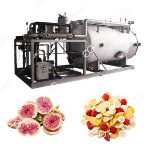 commercial freeze drying machine for fruit manufacture