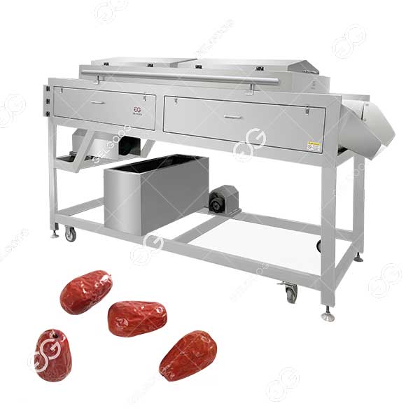 palm date washing cleaning machine for date processing