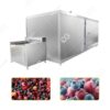 iqf fluidization freezer