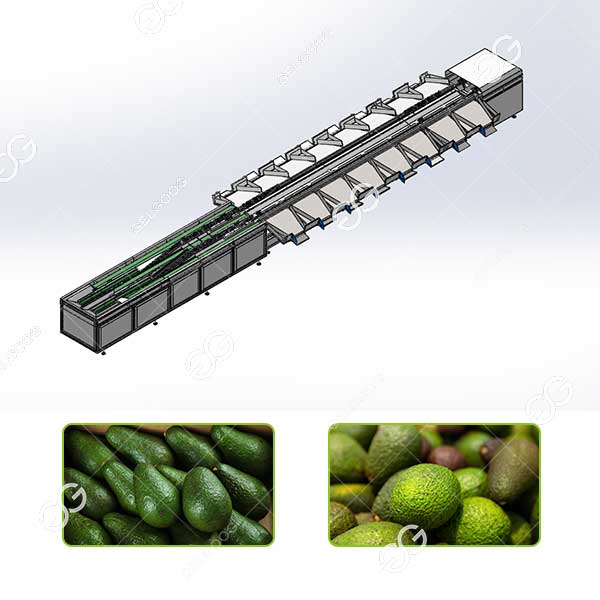 avocado weight grading sorting machine for sale