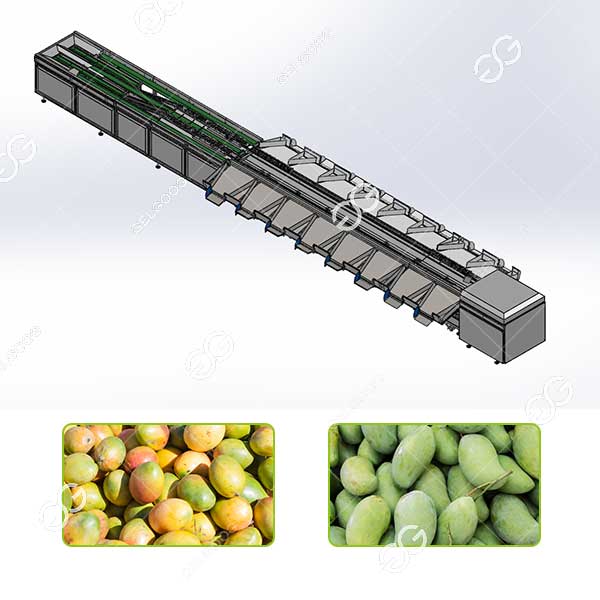 avocado weight grading sorting machine for sale
