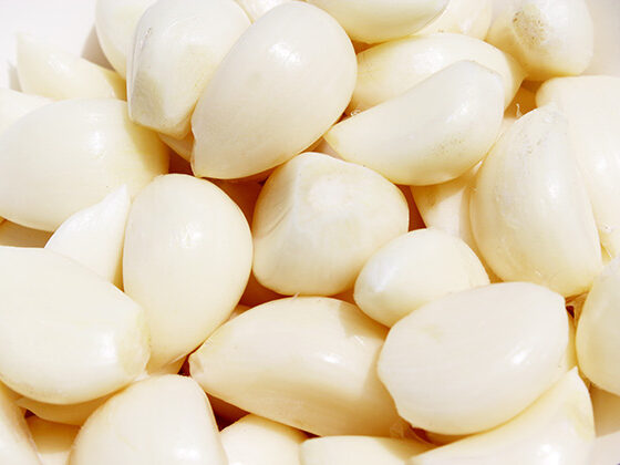 fresh garlic processing line