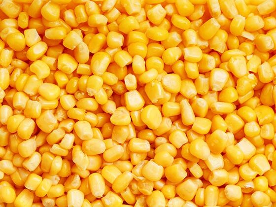 frozen corn kernel