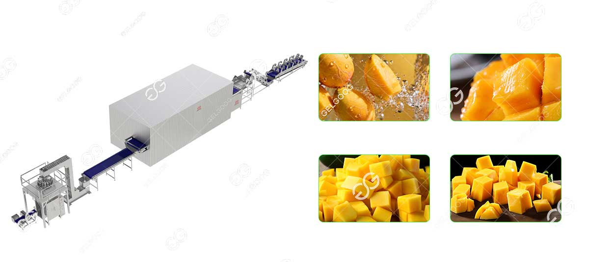 frozen diced mango processing