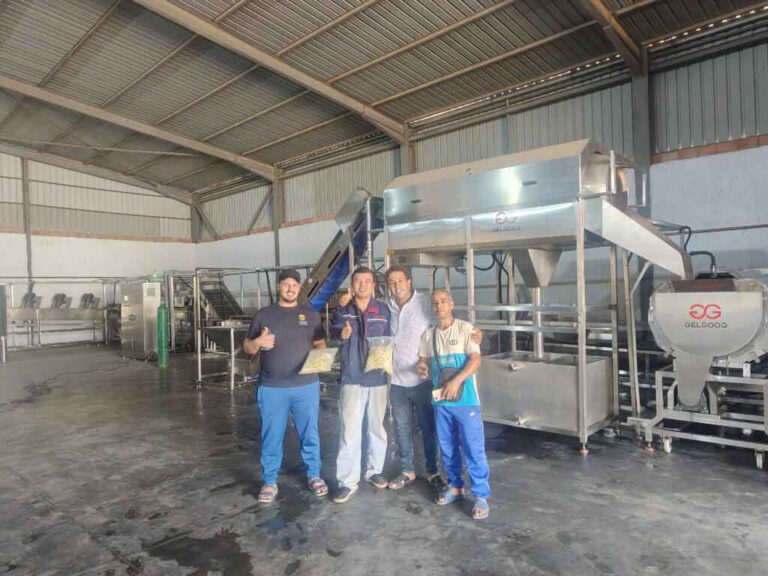 frozen french fries production line customer group photo