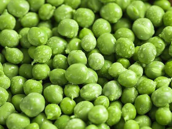 green pea quick freezing line