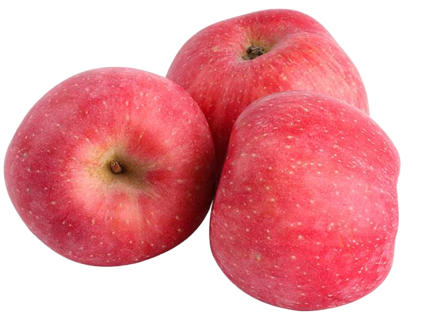 apple washing waxing sorting line